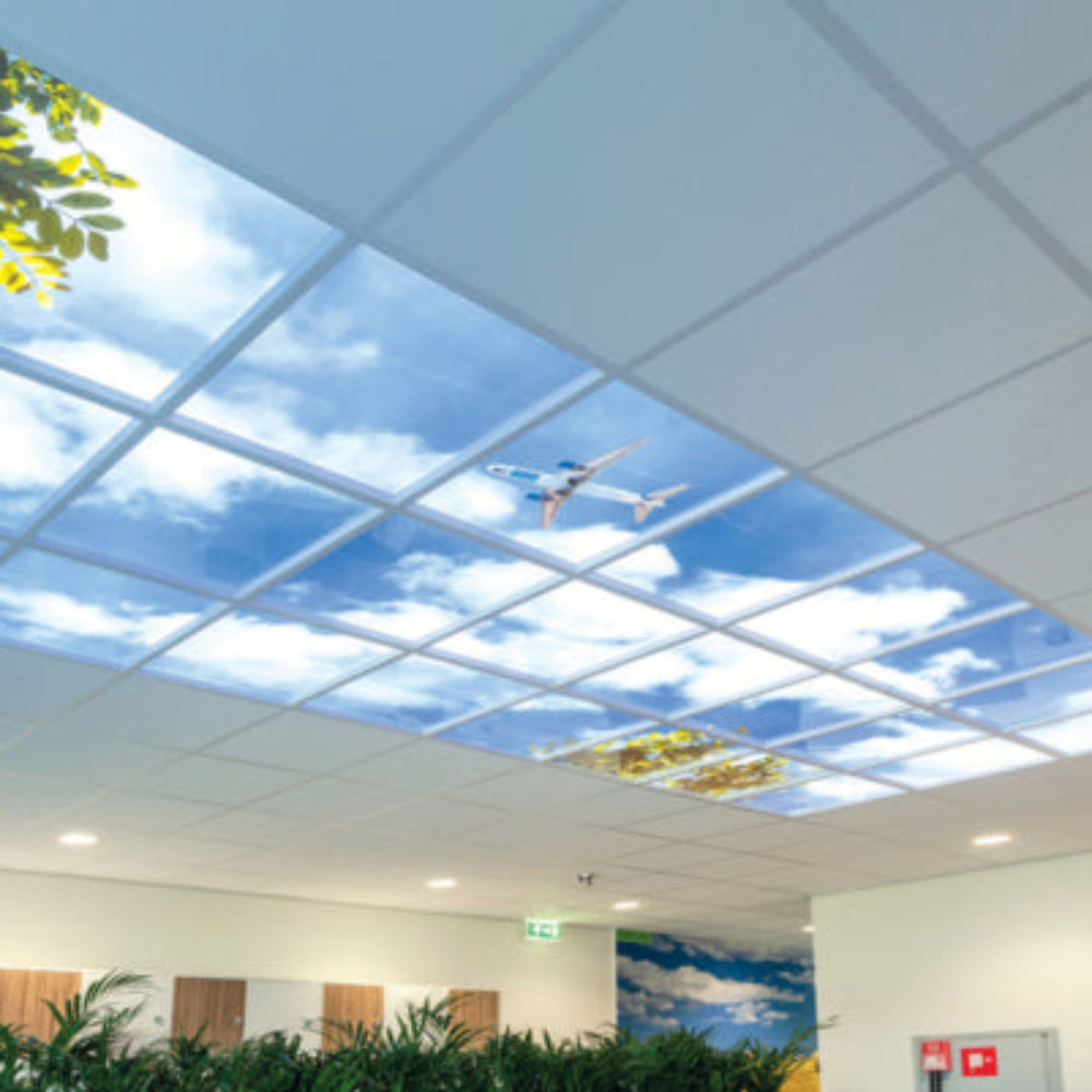 Dalles de plafond Lucidream