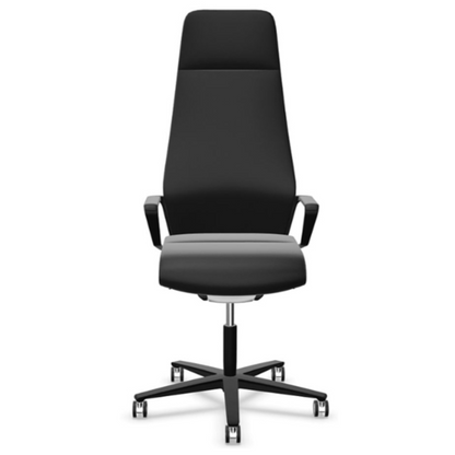 Fauteuil Ergonomique Züco Signo