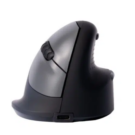 Souris Verticale RGO